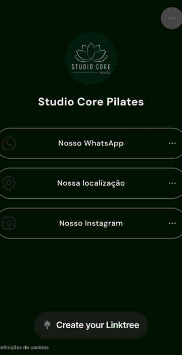 sites profissionais mivcast