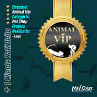 sites profissioanais mivcast