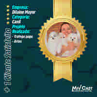 sites profissioanais mivcast