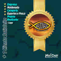 sites profissioanais mivcast