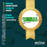 sites profissioanais mivcast