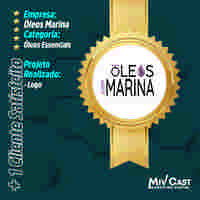 sites profissioanais mivcast