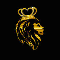 sites profissioanais mivcast