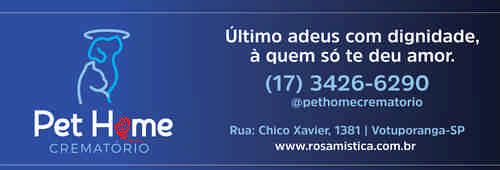 sites profissionais mivcast